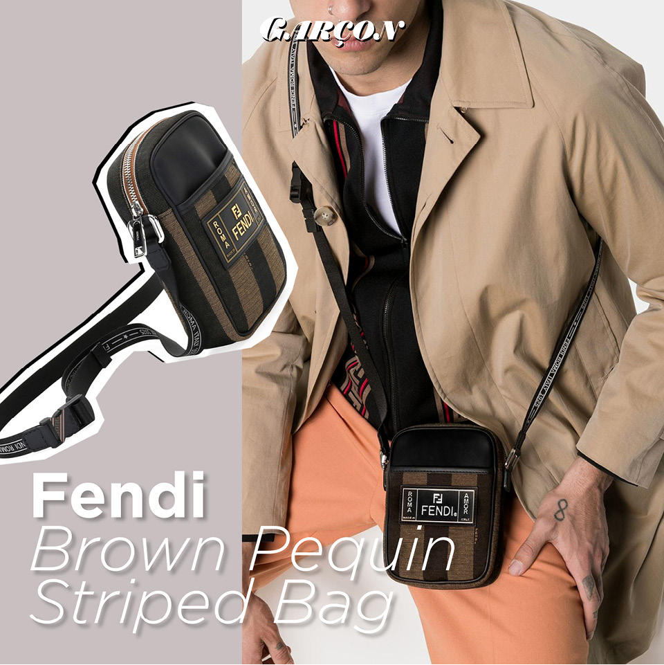 Fendi Brown Pequin Striped Bag