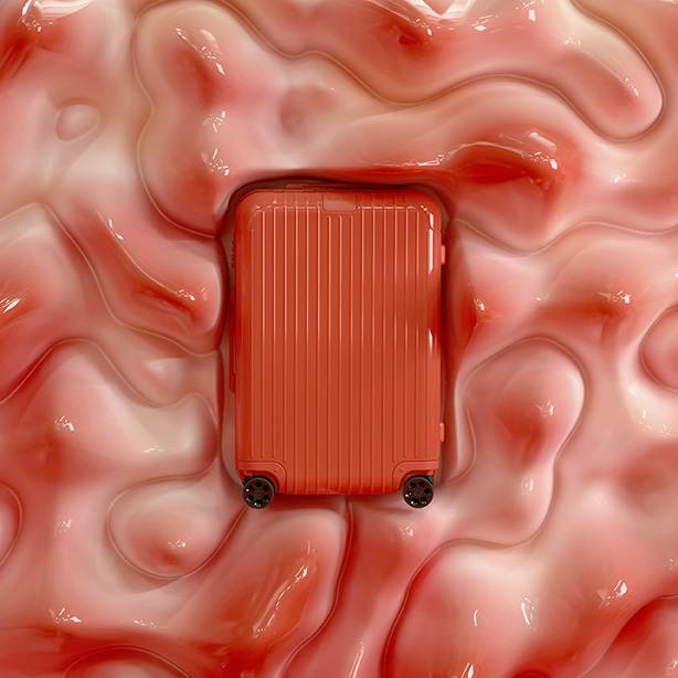 Rimowa สีคอรัล