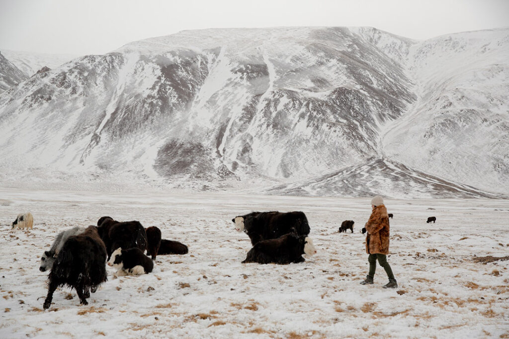 Mongolia