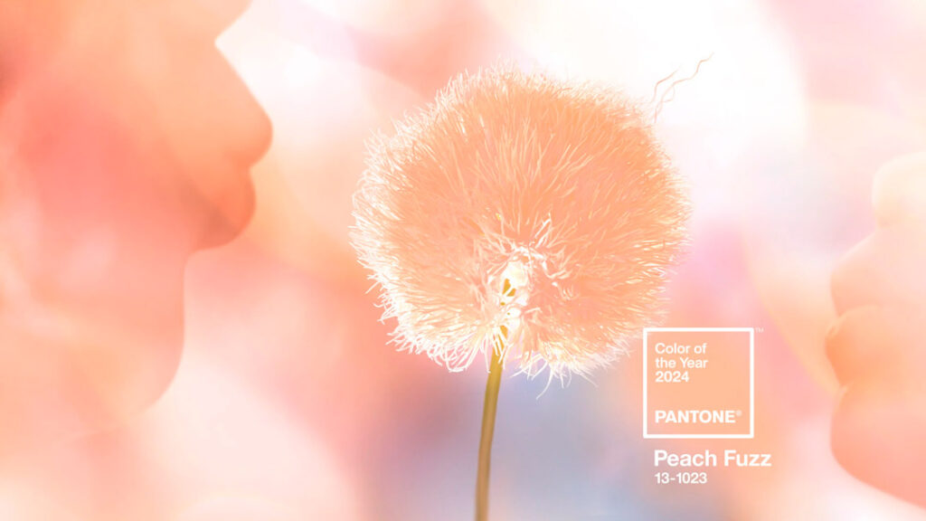 เทรนด์สีปี 2024 PANTONE สีลูกพีช Peach Fuzz
